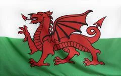 Wales Flag Real Fabric