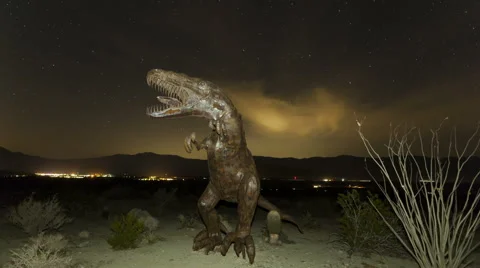 Time Lapse Of Dinosaur With Stars