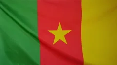 Slowmotion Real Textile Flag Of Cameroon