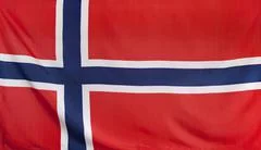 Norway Flag Real Fabric