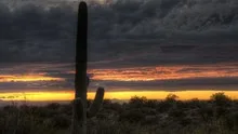HDR Timelapse Sunset Arizona Cactus
