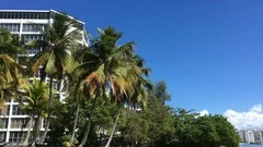 Skyscraper And Palms