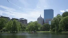 4K Time lapse Boston Public Garden zoom out