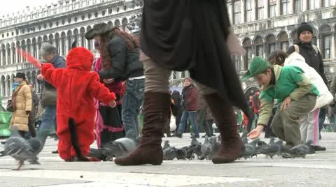 Feeding Pigeons On St. Mark'S Square In Venice