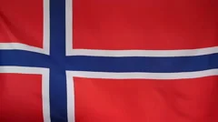 Slowmotion Real Textile Flag Of Norway