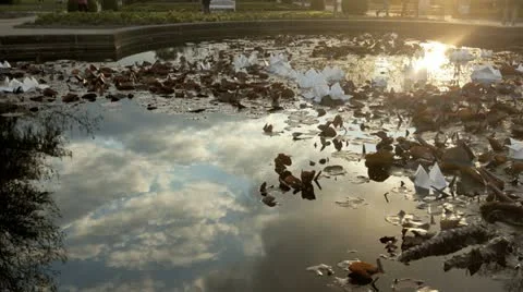 Fountain With Reflections