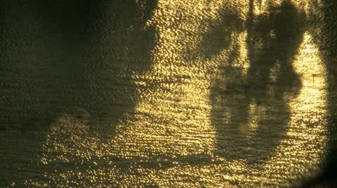 Water Reflection Morning Sun