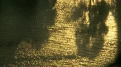 Water Reflection Morning Sun