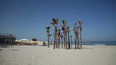 Tel Aviv Beach Palm Trees