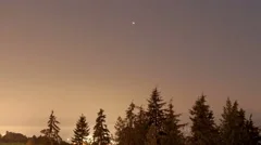 4K Timelapse Vancouver Park View Close Up