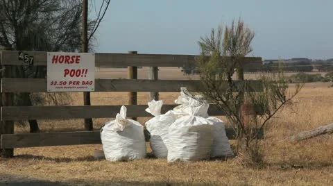 Horse Poo