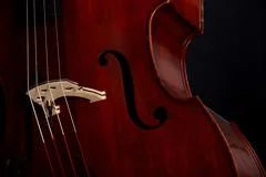 Contrabass