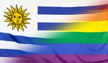 Rainbow Flag merged with Flag of Uruguay