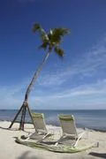  Tropical Beach