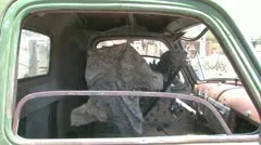 Dinosaur In An Old Car