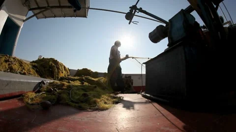 Fishing Cutter