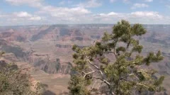 Grand Canyon View