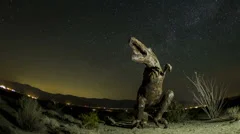 Fisheye Time Lapse Medium Close Up Of Dinosaur With Startrails