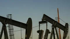 Working Oil Pump