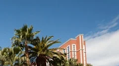 Time Lapse Palms And Clouds Close Up