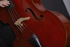 Contrabass Player