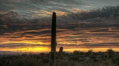 Hdr Timelapse Sunset Arizona Cactus