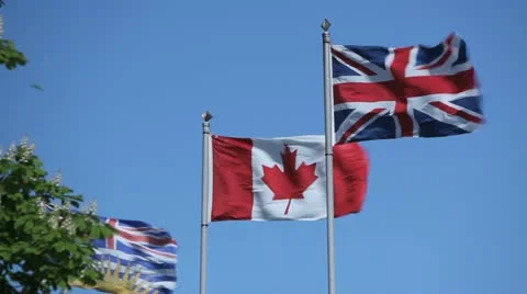 Flags In The Wind