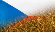 Czech Republic Nutrition Concept Corn field with fabric Flag