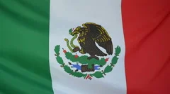 Slowmotion Real Textile Flag Of Mexico