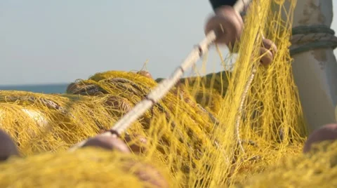 Fishing Net