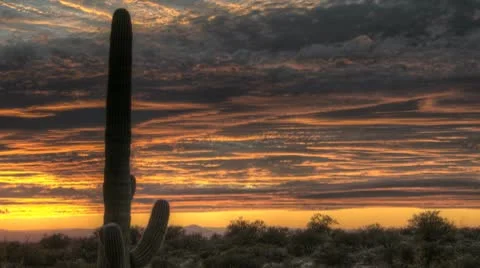 Hdr Timelapse Sunset Arizona Cactus