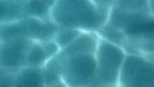 Swimming Pool Sunshine Defocus