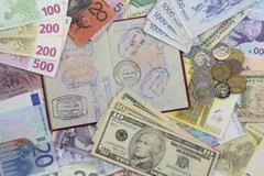 Passport And Money