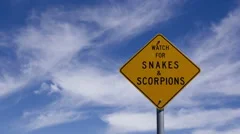 4K Time Lapse Zoom In Snake Warning