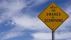 4K Time Lapse Close Up Snake Warning
