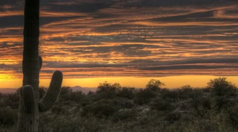 Hdr Timelapse Sunset Arizona Cactus