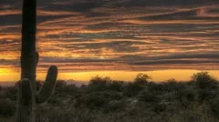 Hdr Timelapse Sunset Arizona Cactus