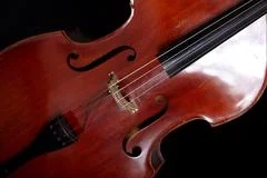 Contrabass