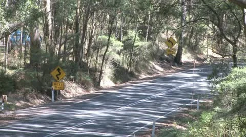 Great Ocean Road In Forrest