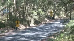 Great Ocean Road In Forrest
