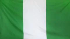 Nigeria Flag Real Fabric