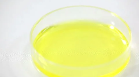 Dropping Liquid
