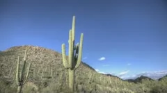 Hdr Timelapse Arizona Cactus