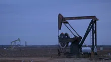 Working oil pump