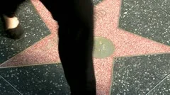 Walk Of Fame Harrison Ford