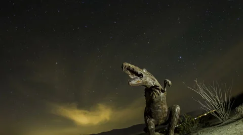 Fisheye Time Lapse Zoom Out And Rotate Of Dinosaur With Startrails