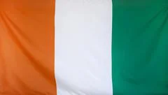 Ivory Coast Flag Real Fabric