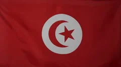 Slowmotion Real Textile Flag Of Tunisia