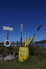 Paddles in a barrel