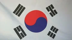 Slowmotion Real Textile Flag Of South Korea